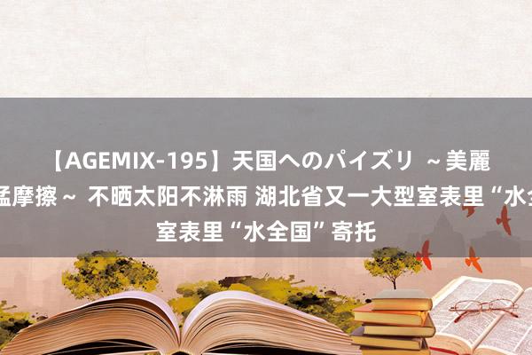 【AGEMIX-195】天国へのパイズリ ～美麗の谷間で猛摩擦～ 不晒太阳不淋雨 湖北省又一大型室表里“水全国”寄托