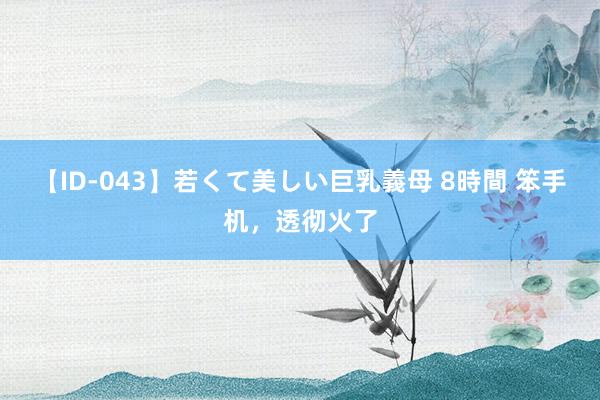 【ID-043】若くて美しい巨乳義母 8時間 笨手机，透彻火了