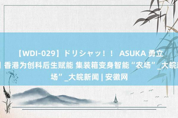 【WDI-029】ドリシャッ！！ ASUKA 勇立潮头大湾区丨香港为创科后生赋能 集装箱变身智能“农场”_大皖新闻 | 安徽网