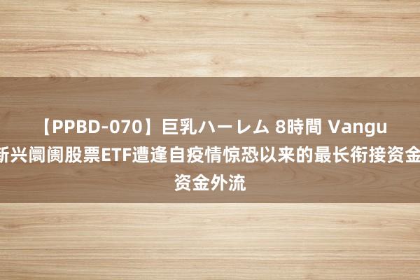 【PPBD-070】巨乳ハーレム 8時間 Vanguard新兴阛阓股票ETF遭逢自疫情惊恐以来的最长衔接资金外流