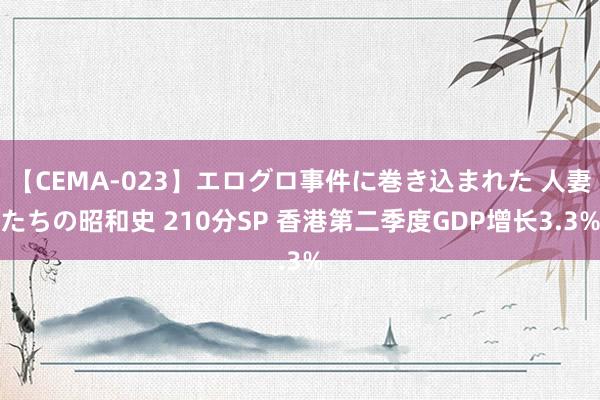 【CEMA-023】エログロ事件に巻き込まれた 人妻たちの昭和史 210分SP 香港第二季度GDP增长3.3%