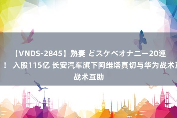 【VNDS-2845】熟妻 どスケベオナニー20連発！！ 入股115亿 长安汽车旗下阿维塔真切与华为战术互助