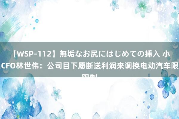 【WSP-112】無垢なお尻にはじめての挿入 小米CFO林世伟：公司目下愿断送利润来调换电动汽车限制