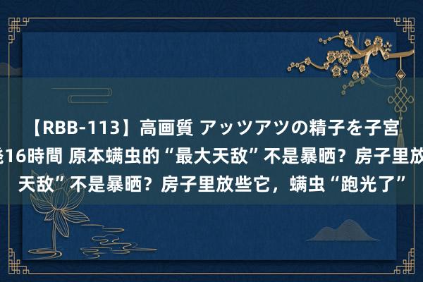 【RBB-113】高画質 アッツアツの精子を子宮に孕ませ中出し120発16時間 原本螨虫的“最大天敌”不是暴晒？房子里放些它，螨虫“跑光了”