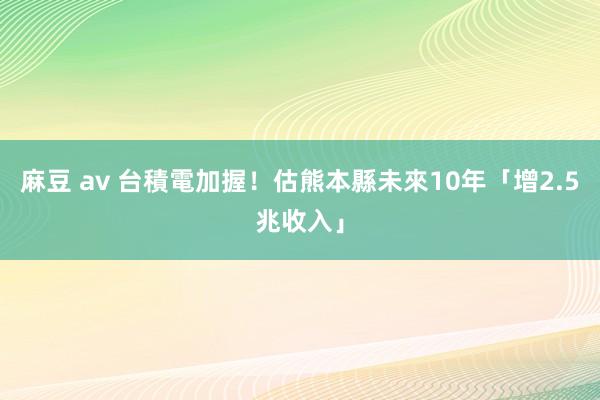 麻豆 av 台積電加握！　估熊本縣未來10年「增2.5兆收入」