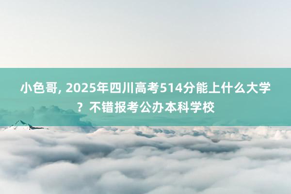 小色哥， 2025年四川高考514分能上什么大学？不错报考公办本科学校