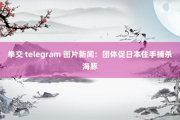 拳交 telegram 图片新闻：团体促日本住手捕杀海豚